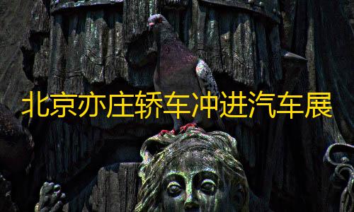 暗区DY直装6.2免卡密北京亦庄轿车冲进汽车展厅
，车主咆哮：太欺负人了！背后原因竟是